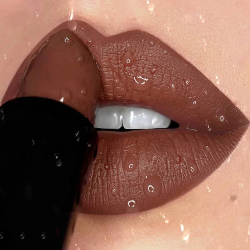 Nude Waterproof Matte Lipstick Long Lasting Stylish Lips-0