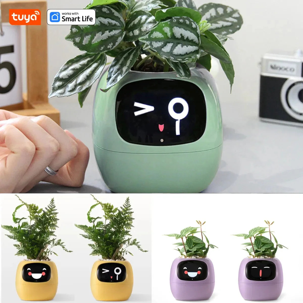 Tuya Ivy Smart Planter, Sensor AI Technology-0