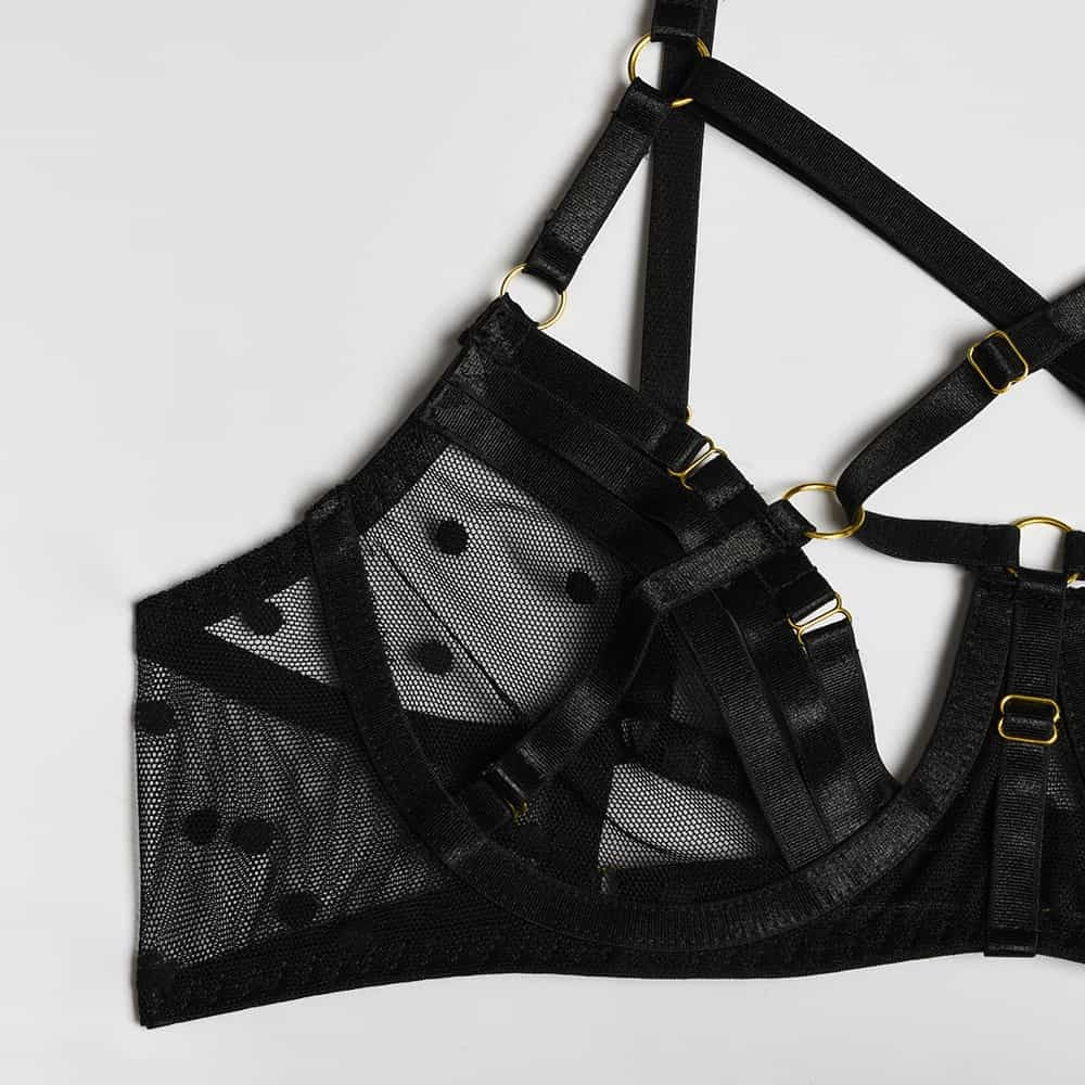 Sheer Mesh Polka Dot Bra Set Panty Details